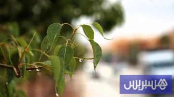 تغير الطقس اليوم الأربعاء في المغرب بين استقرار وأمطار متفرقة